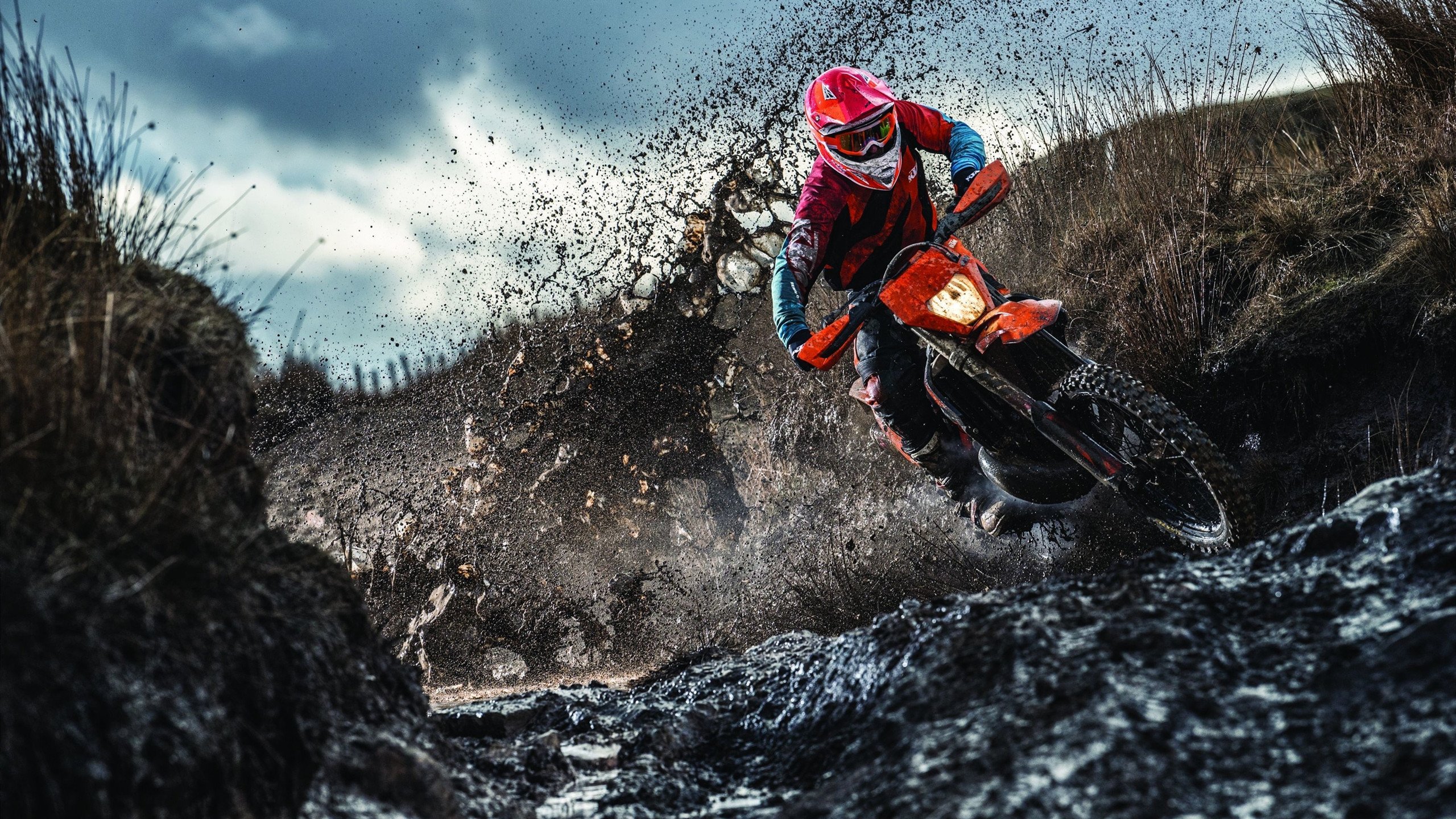 德甲联赛观众人数持续增长，德甲联赛有观众吗